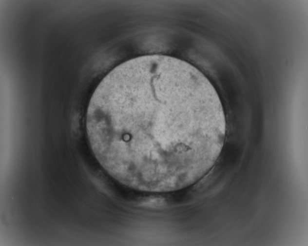 X0000087000162200704161530