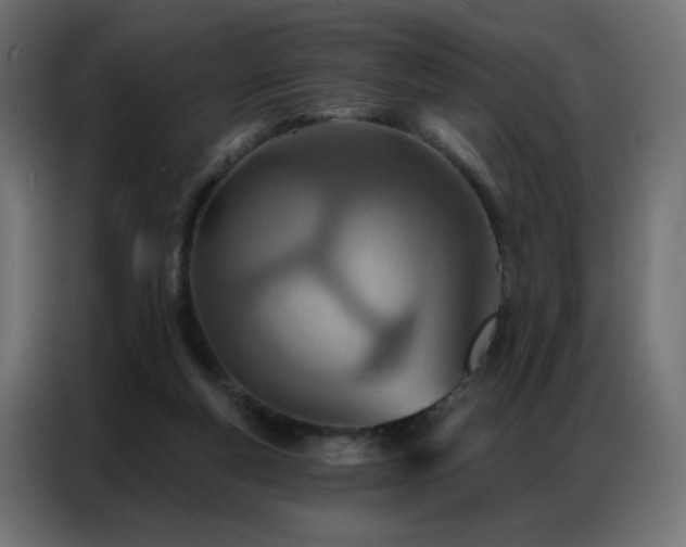 X0000087000163200704161530