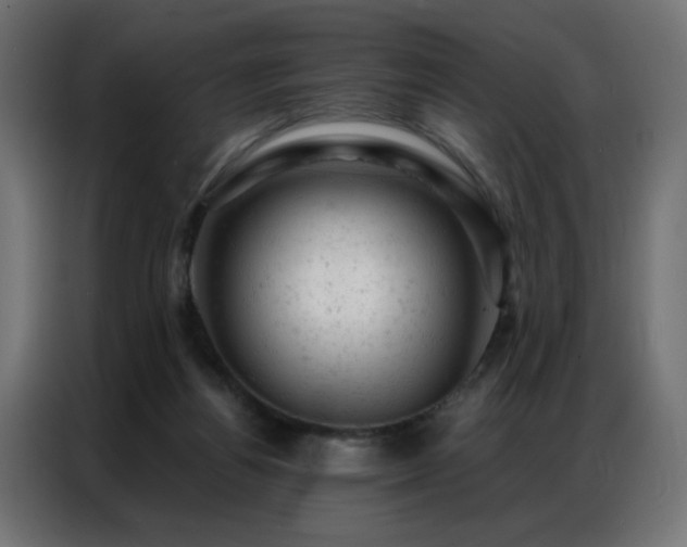 X0000087000164200704161530