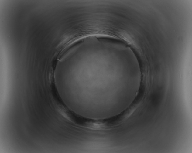X0000087000165200704161530