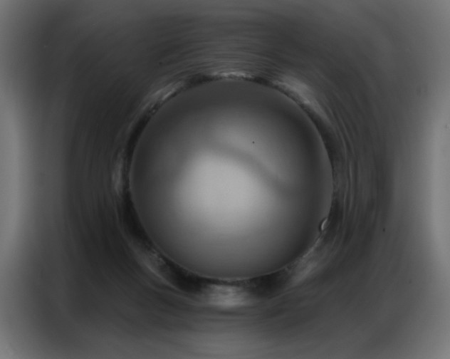 X0000087000167200704161530