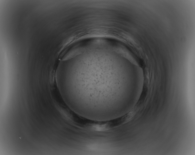 X0000087000168200704161530