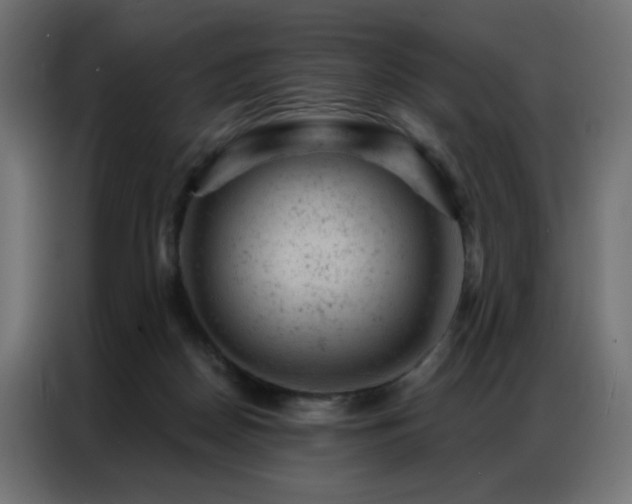 X0000087000170200704161530