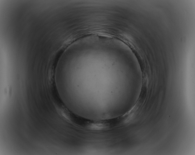 X0000087000171200704161530