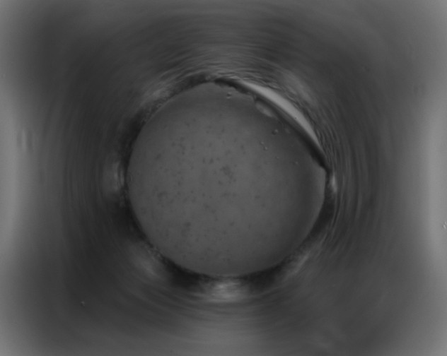X0000087000173200704161530