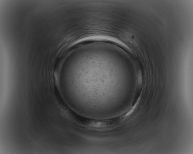 X0000087000174200704161530