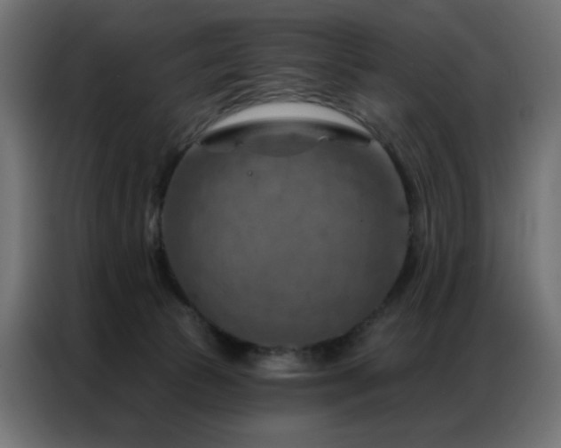 X0000087000177200704161530