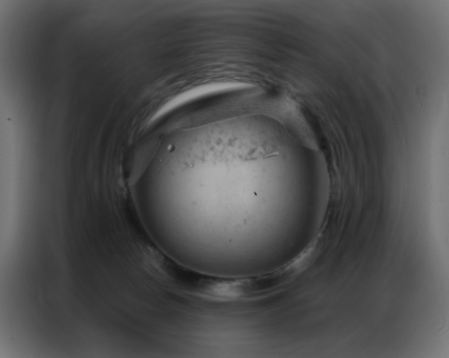 X0000087000178200704161530