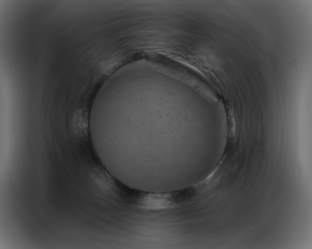 X0000087000179200704161530