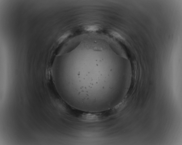 X0000087000180200704161530