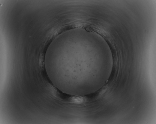 X0000087000181200704161530