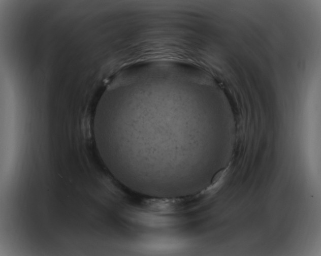 X0000087000182200704161530