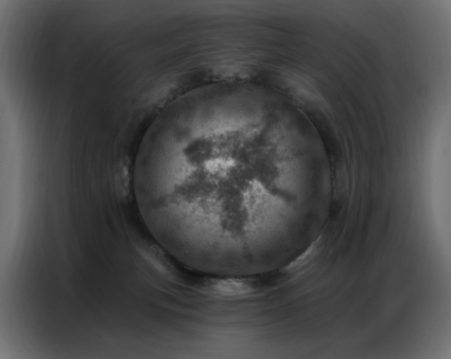 X0000087000183200704161530