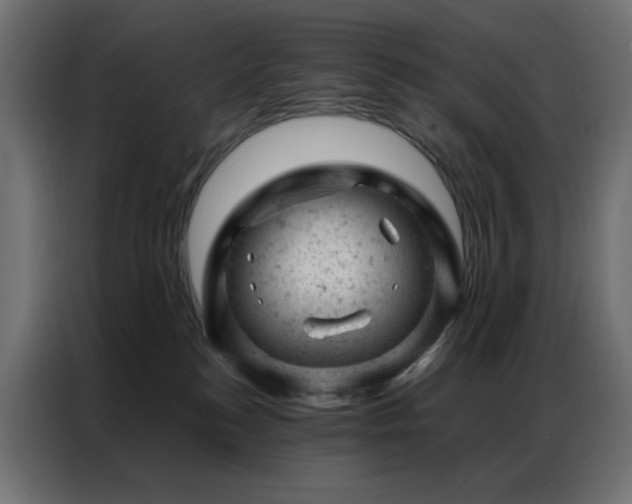 X0000087000184200704161530