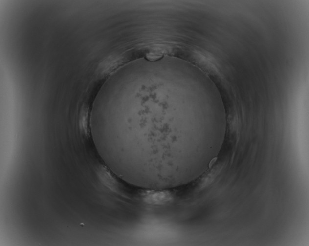 X0000087000185200704161530