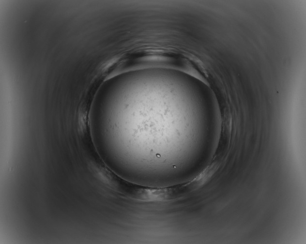 X0000087000188200704161530