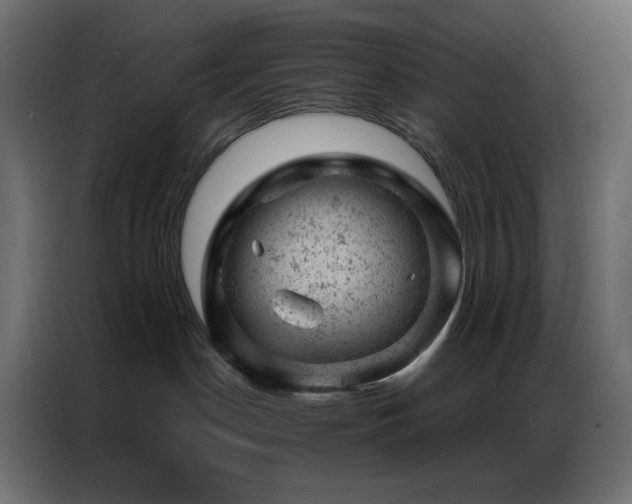 X0000087000190200704161530