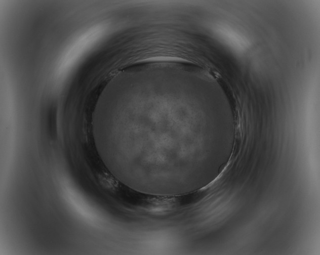 X0000087000191200704161530