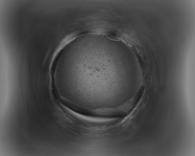 X0000087000198200704161530