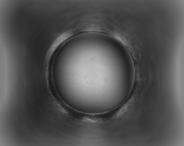 X0000087000199200704161530