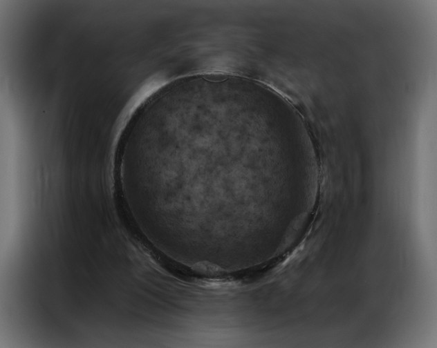X0000087000200200704161530