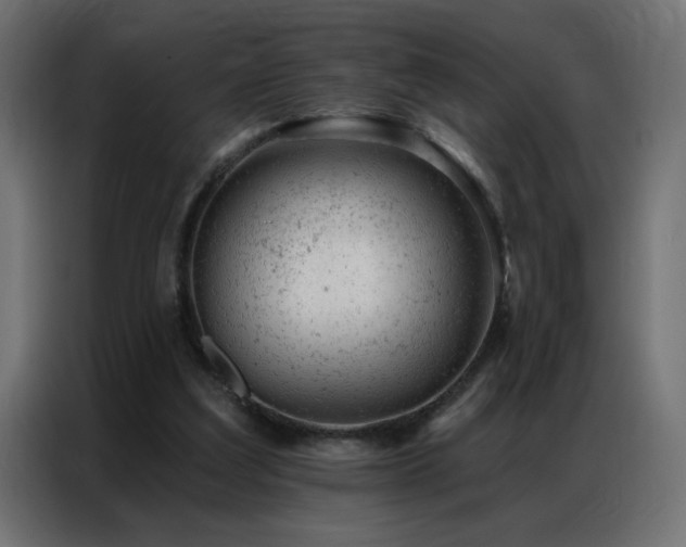X0000087000203200704161530