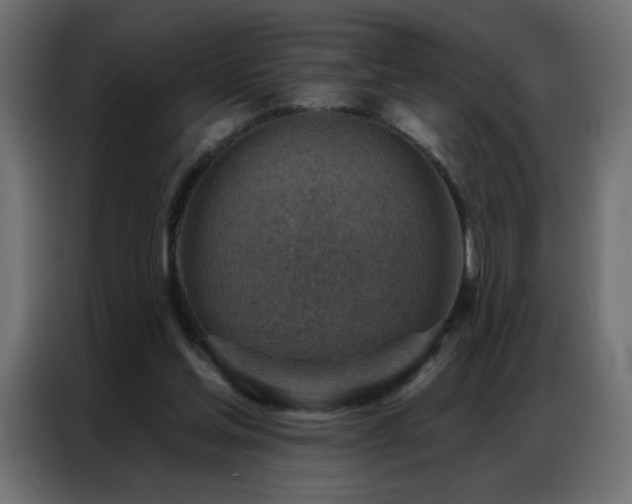 X0000087000205200704161530