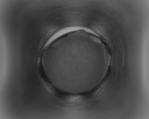 X0000087000206200704161530