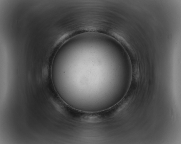 X0000087000208200704161530