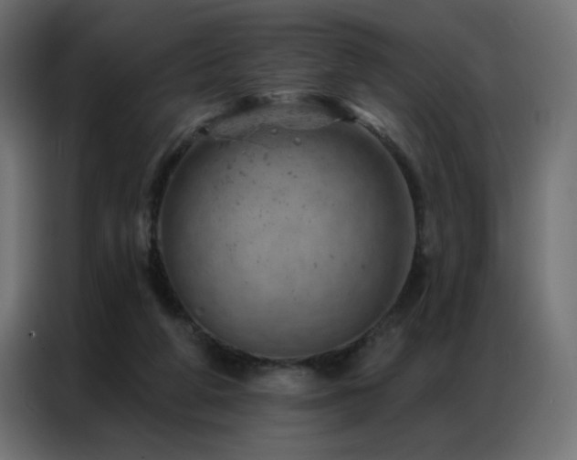X0000087000210200704161530