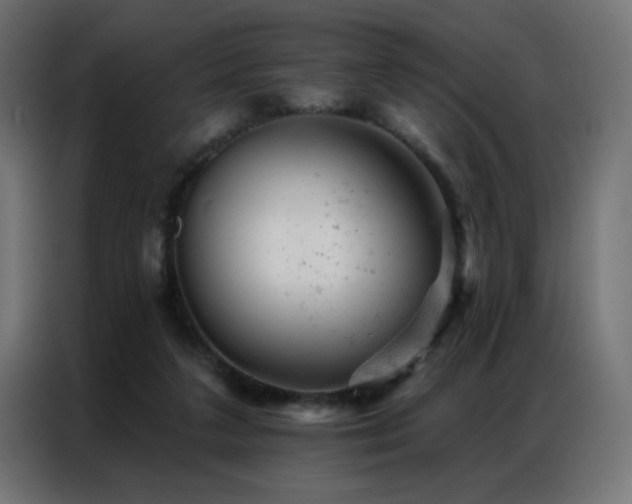 X0000087000211200704161530