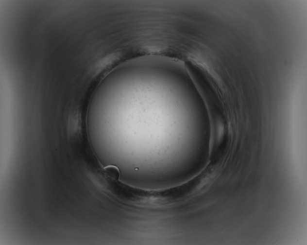 X0000087000212200704161530