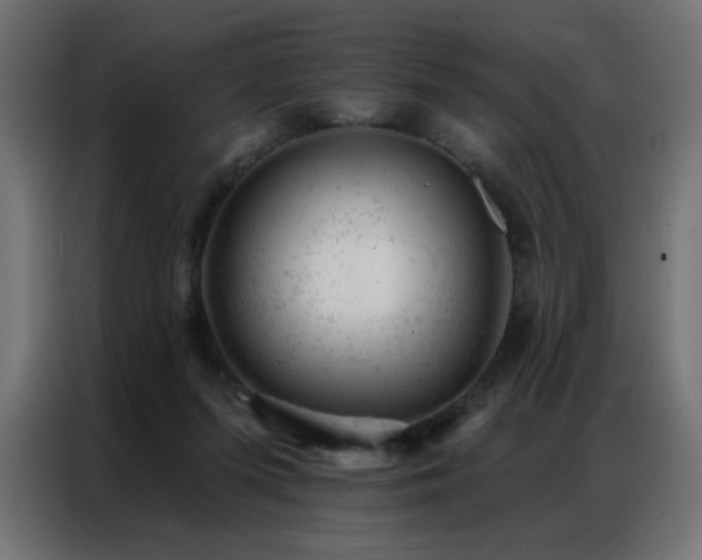 X0000087000215200704161530