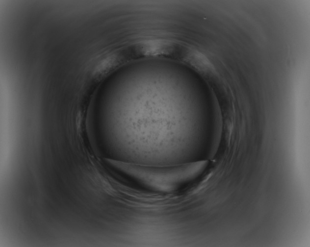 X0000087000219200704161529