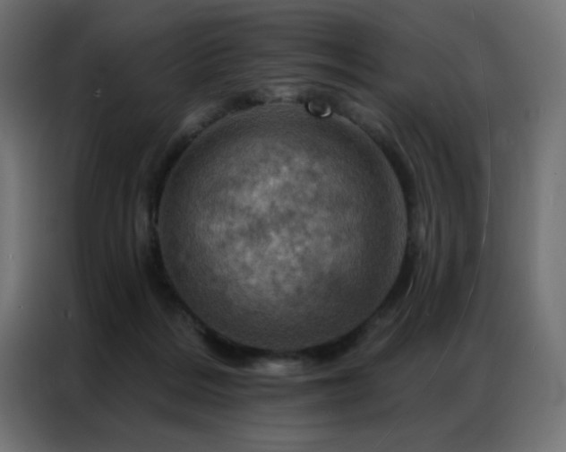 X0000087000220200704161529