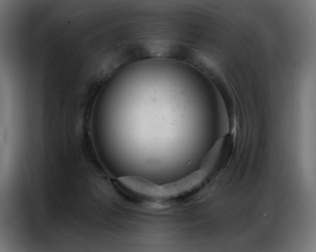 X0000087000221200704161529