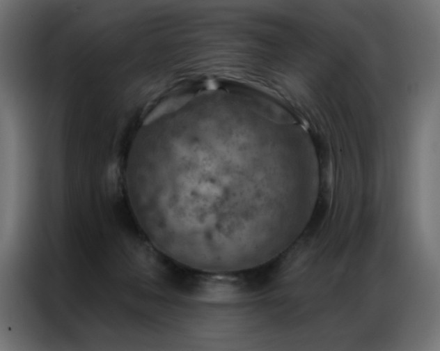 X0000087000222200704161529