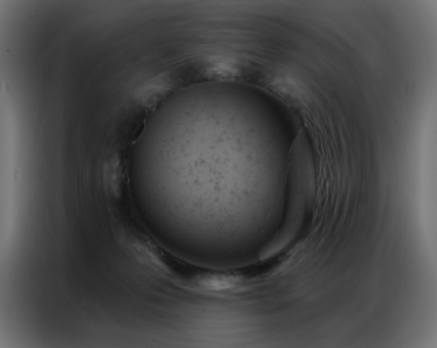 X0000087000223200704161529