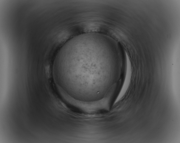 X0000087000224200704161529