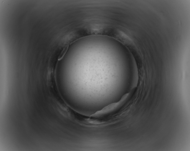 X0000087000225200704161529