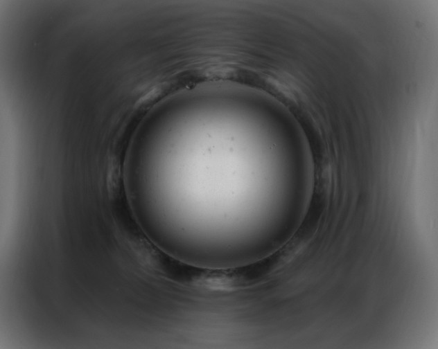 X0000087000228200704161529
