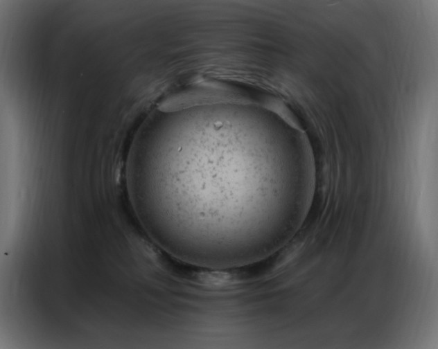 X0000087000230200704161529