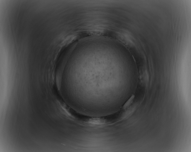 X0000087000231200704161529