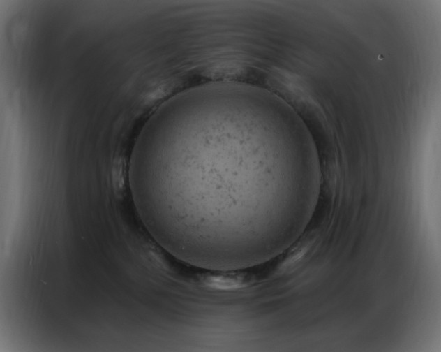X0000087000232200704161529