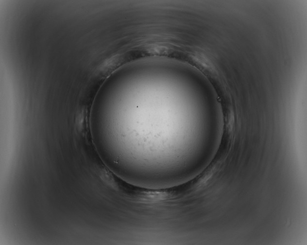 X0000087000233200704161529