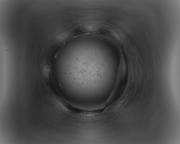X0000087000235200704161529