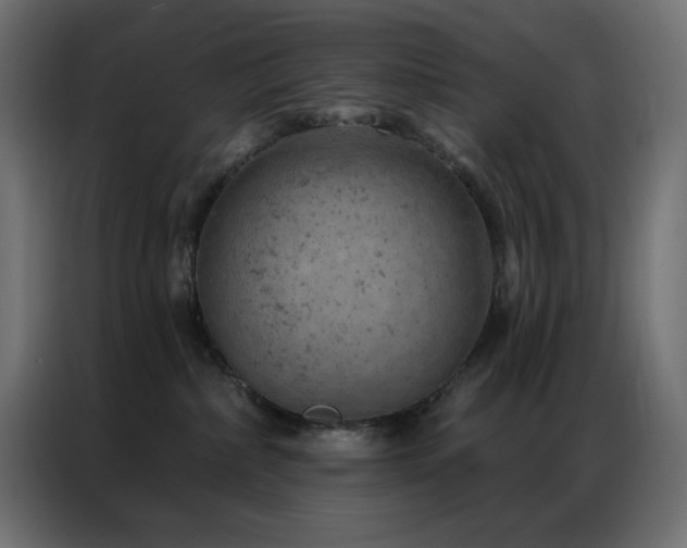 X0000087000236200704161529