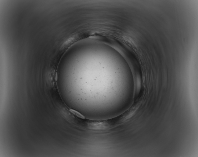 X0000087000237200704161529