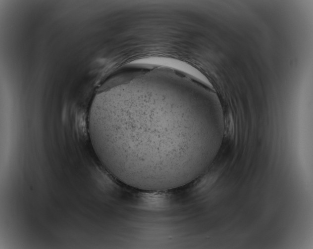 X0000087000238200704161529