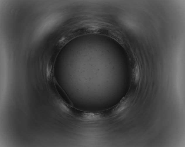 X0000087000239200704161529